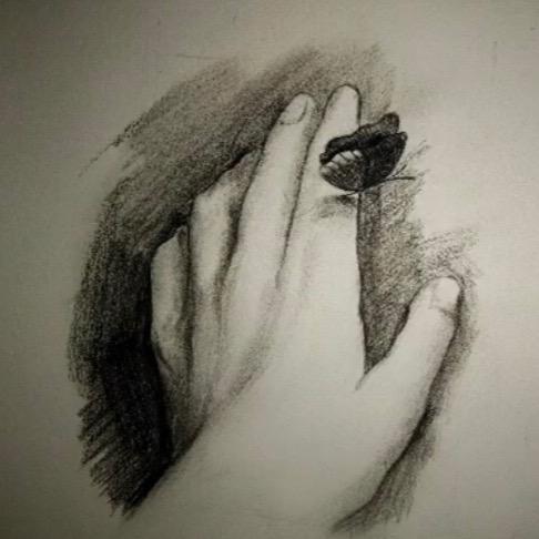 小楊（橱窗好物）