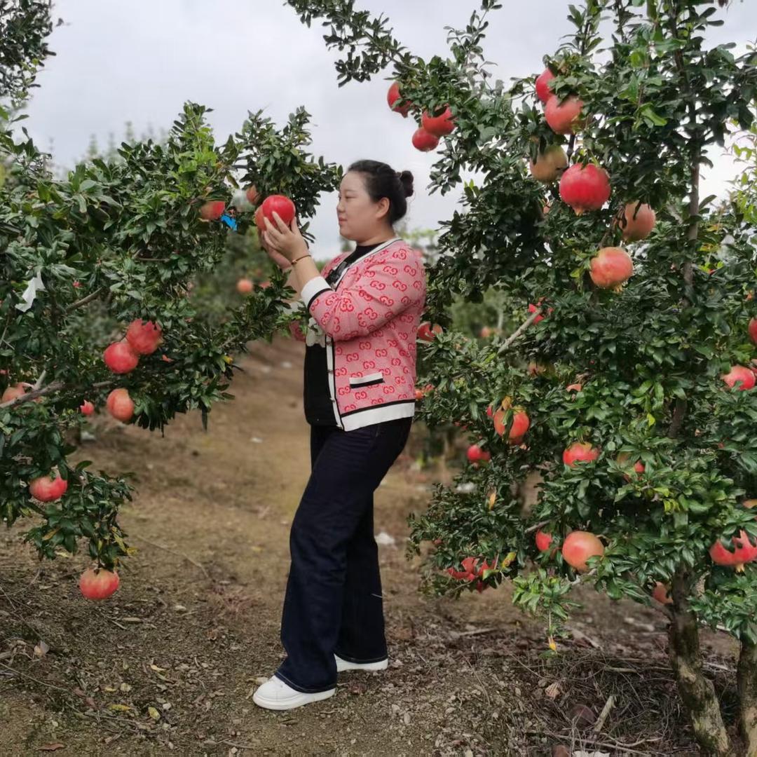 吉慧水果行