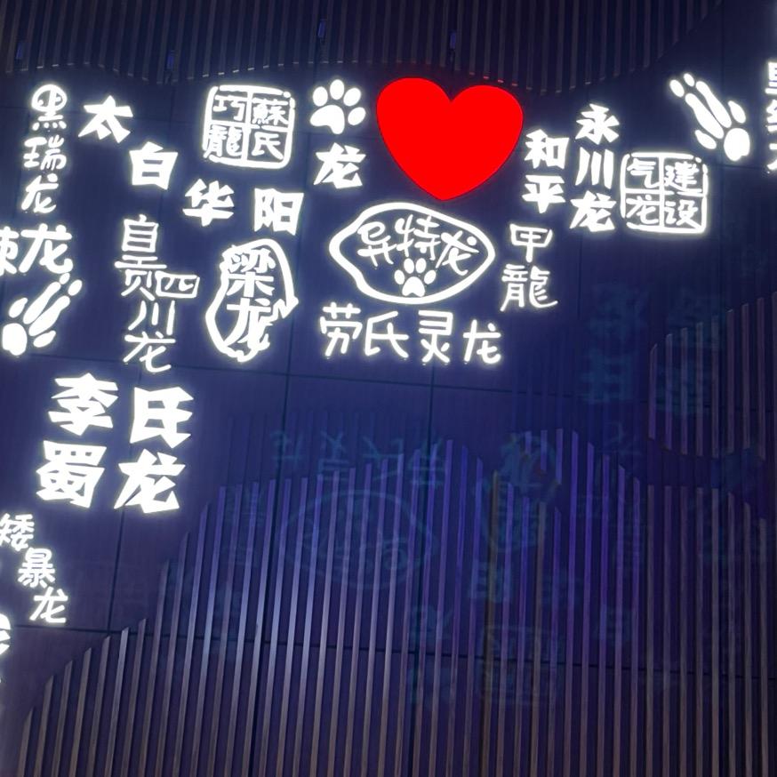 雄鹰翱翔