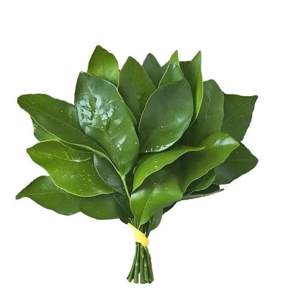 牛怼怼