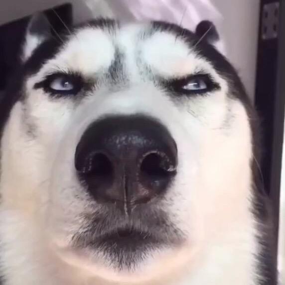 兄弟
