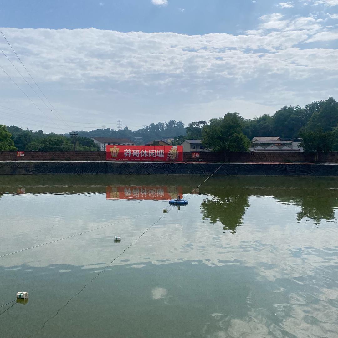 莽哥休闲塘