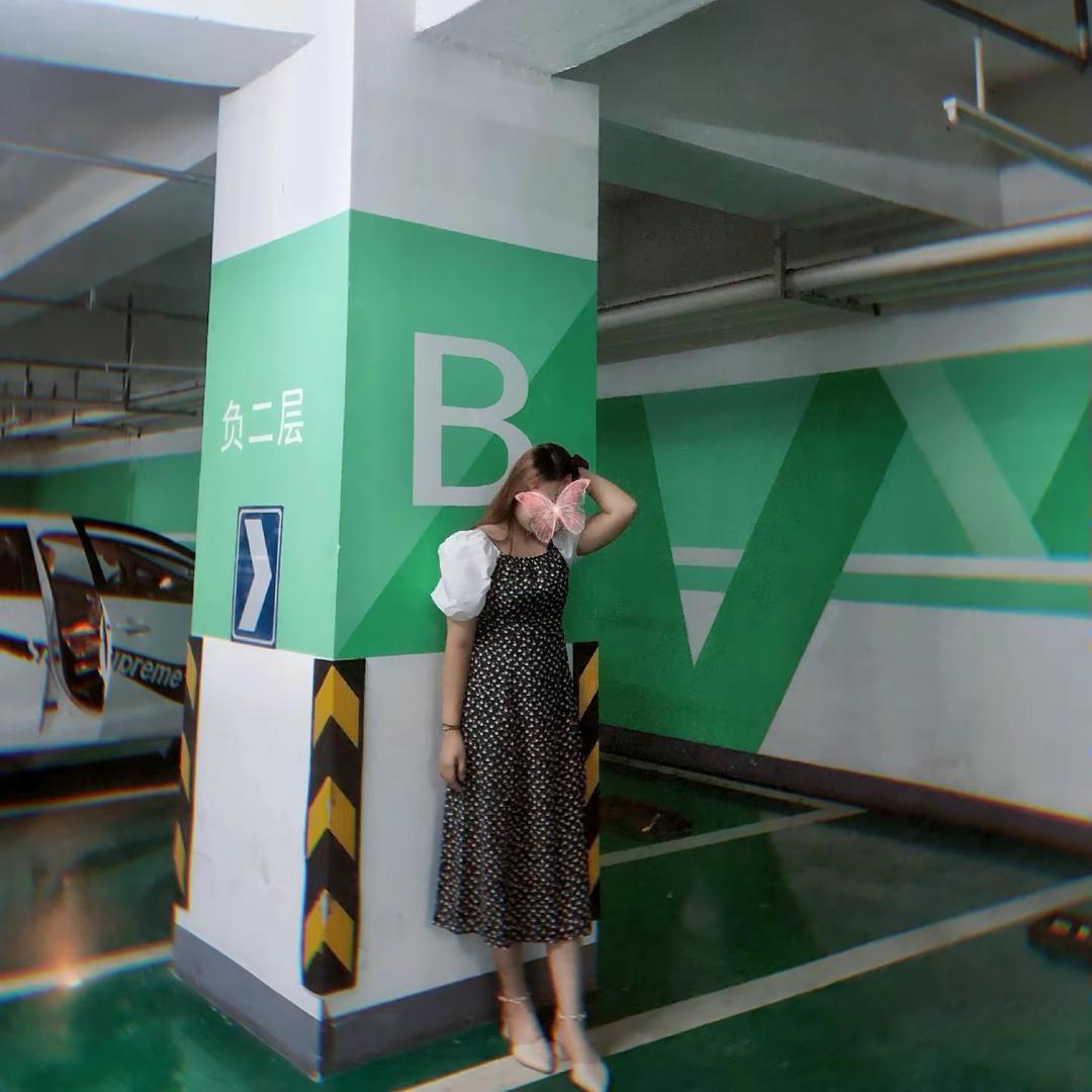 2500还债日记阿婷