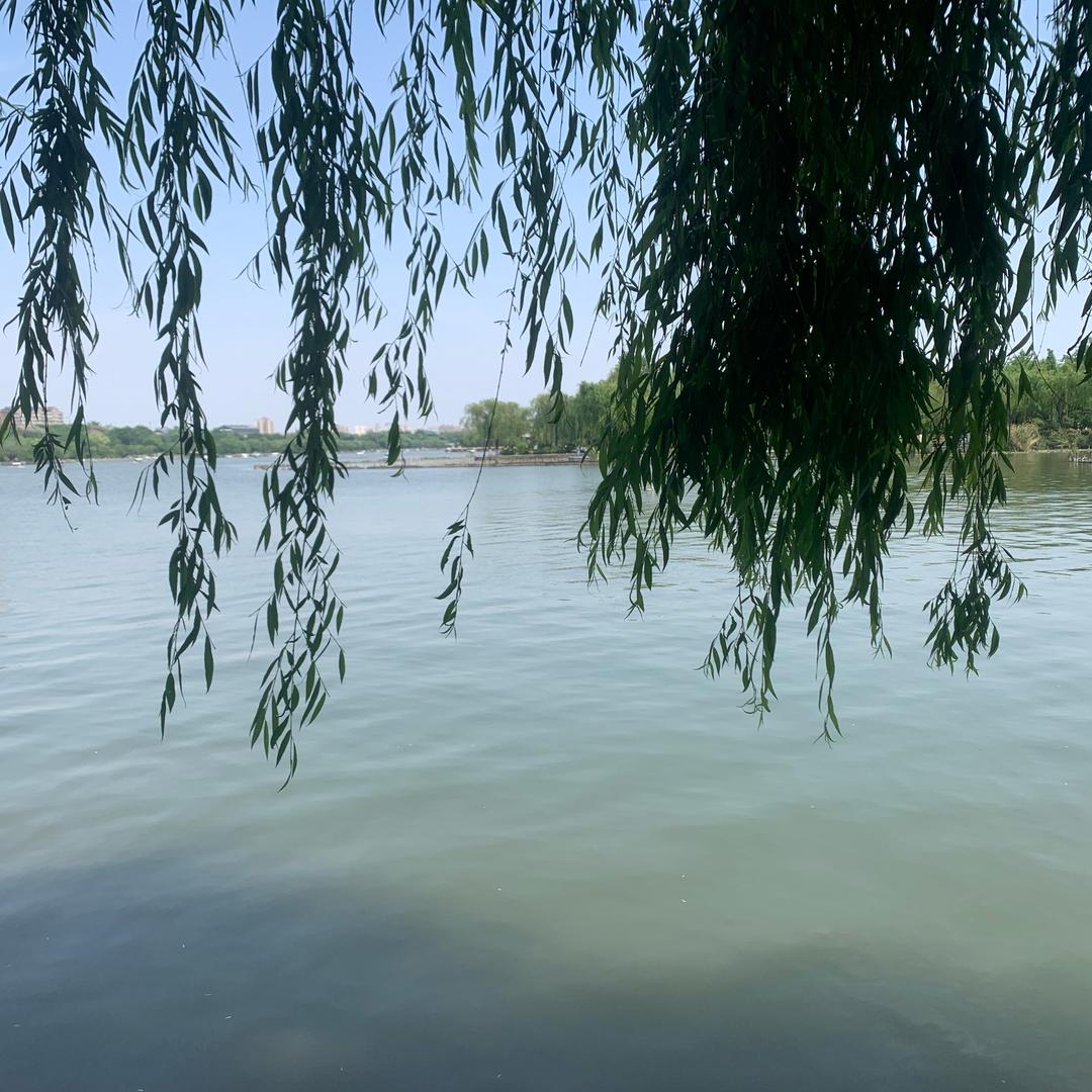 妍姿芊颜遵化二丽