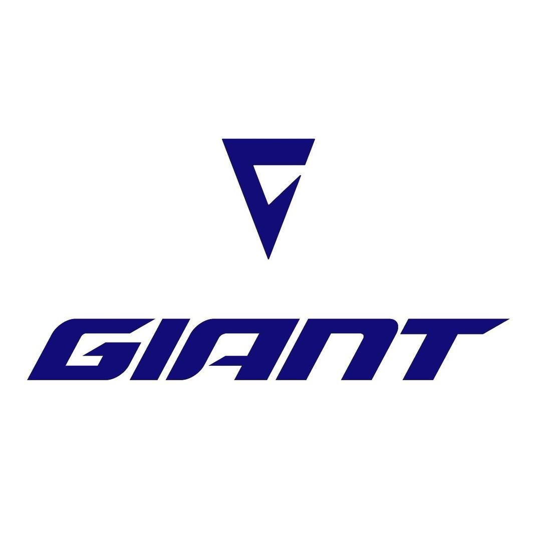 捷安特自行车（五莲）