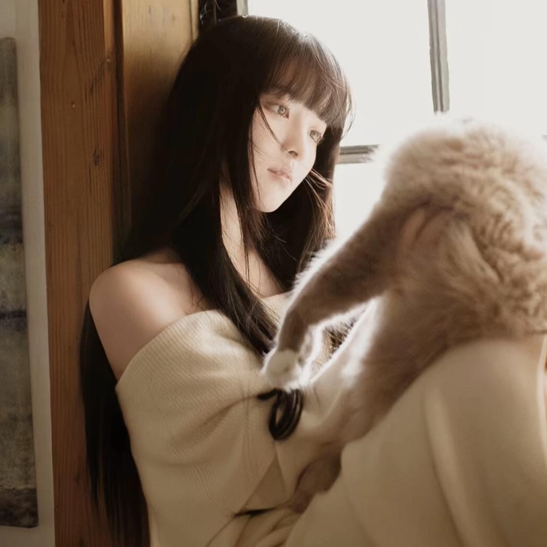 猫吃鱼