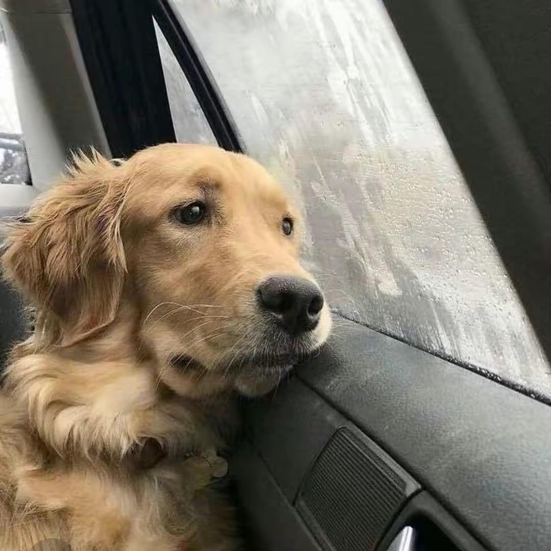 ZZZ