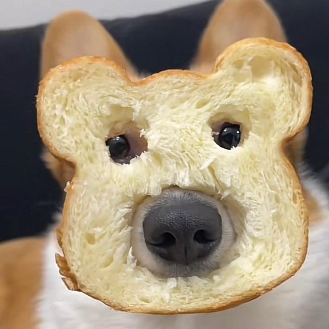 网瘾绝缘体