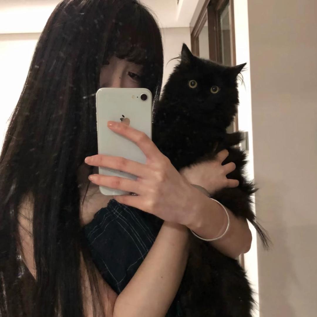 在减肥la