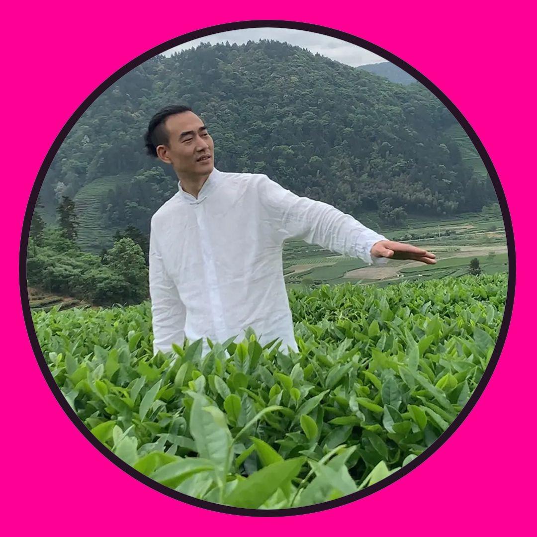 茶管家斌哥