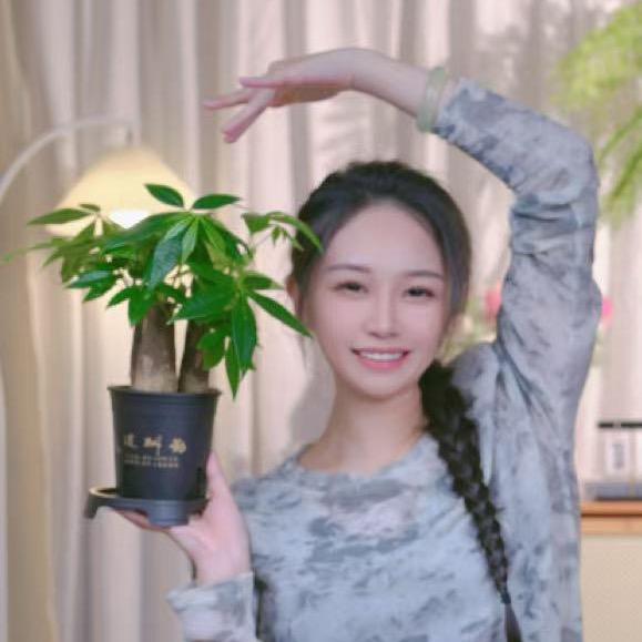悠悠小姐的绿植