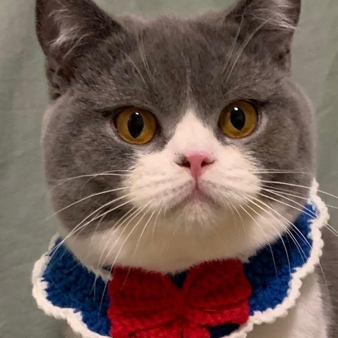 我叫八萬仔（🏋️新手版）