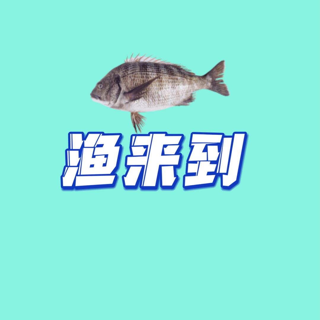 渔来到渔具商行