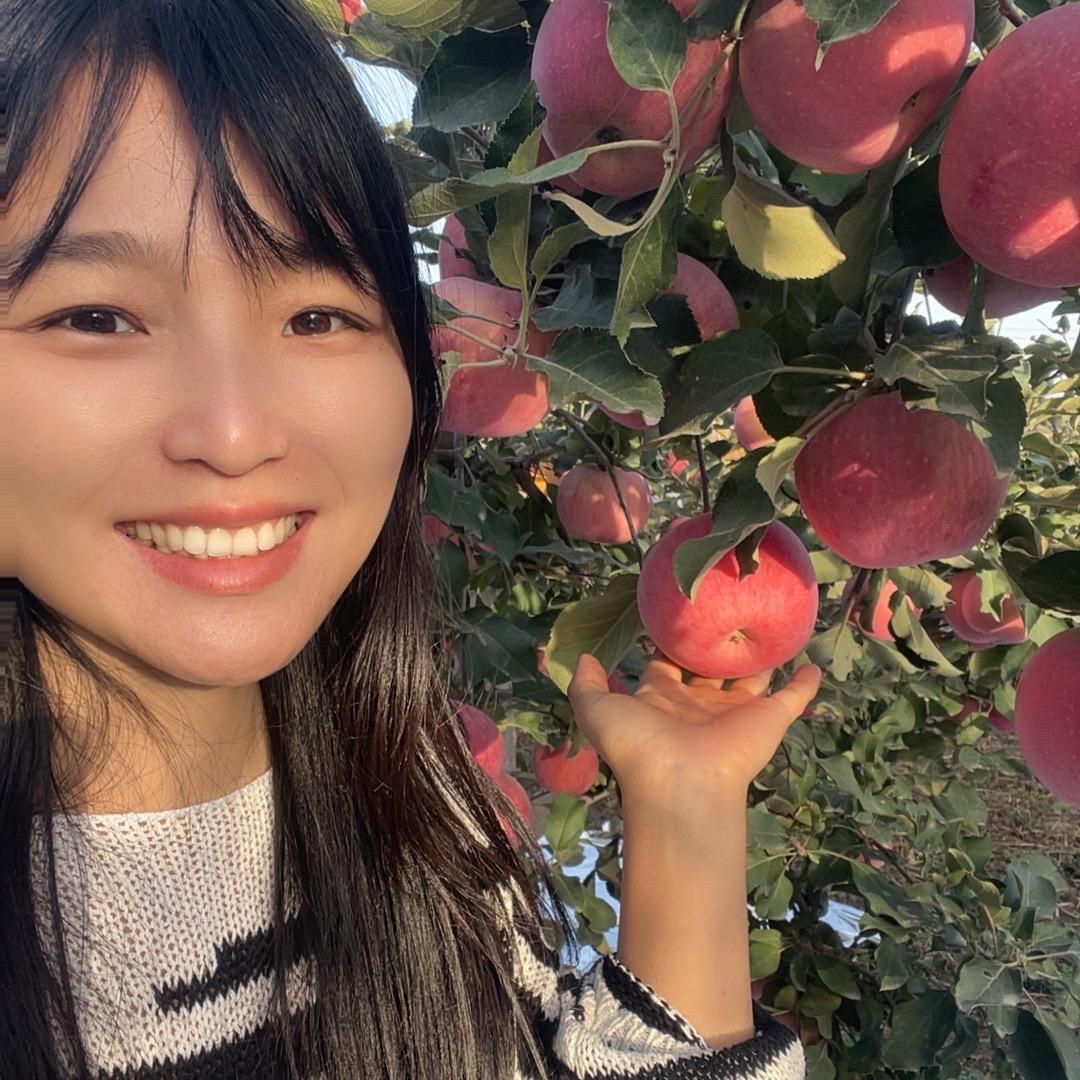 我是绿叶🍃