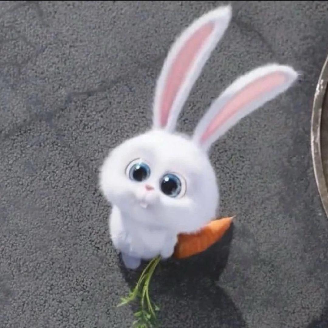 菈