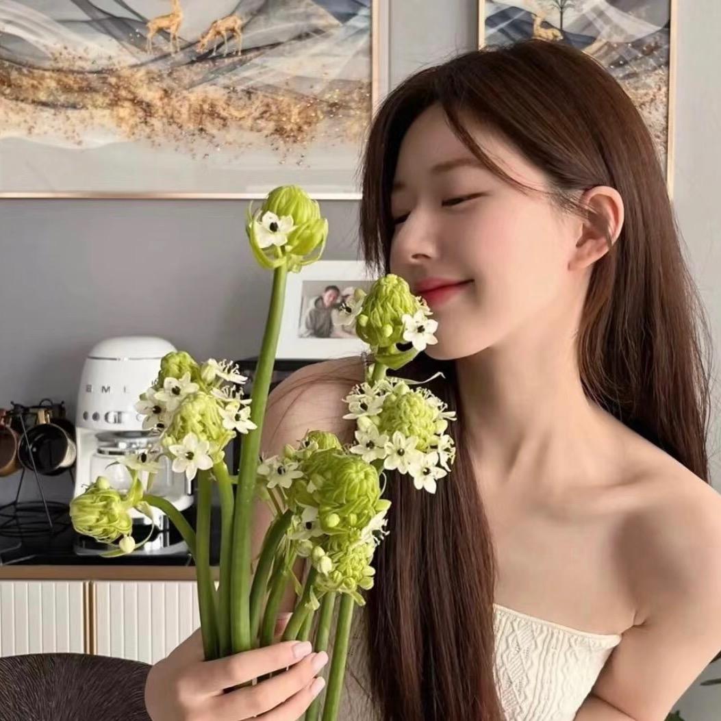 予花见～