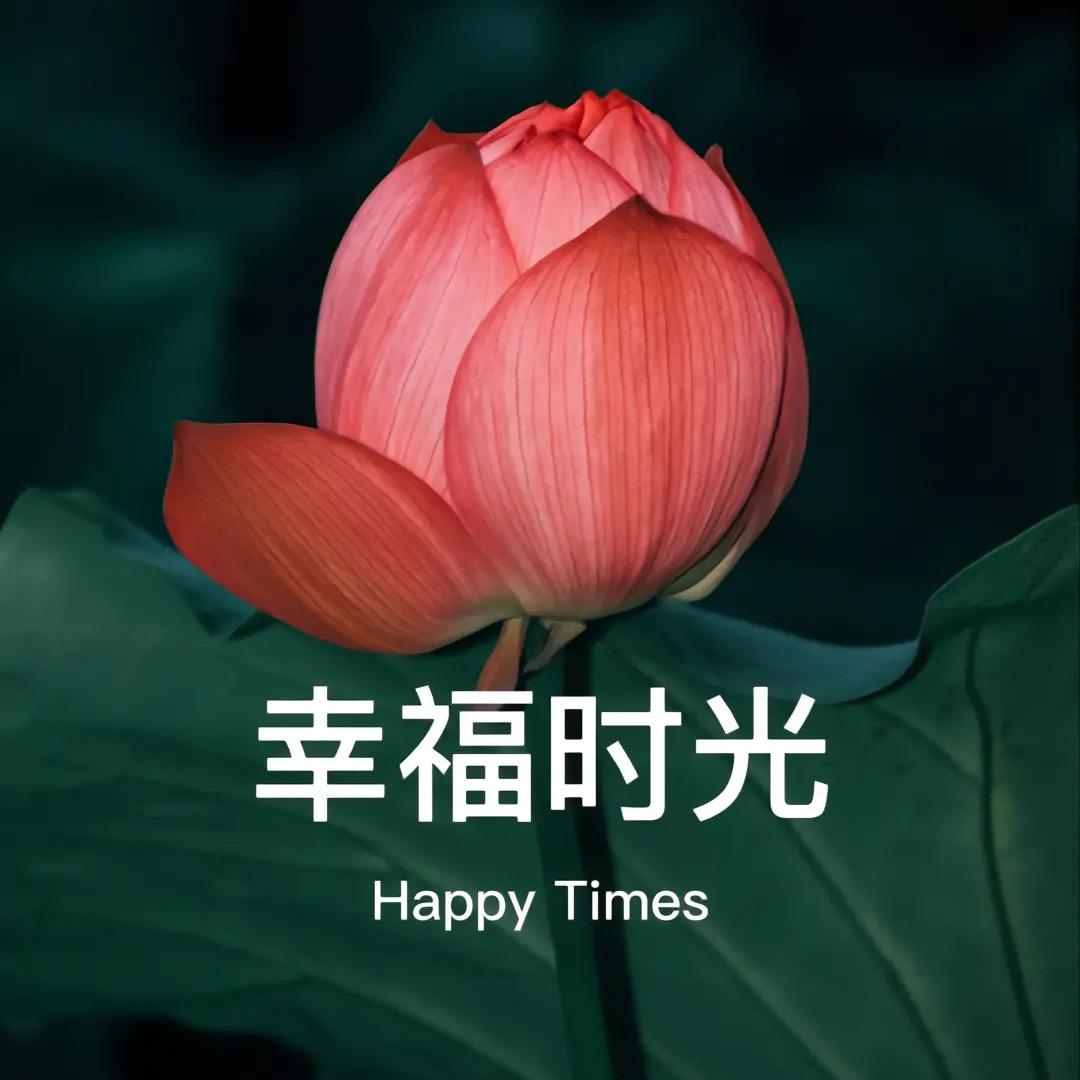 醒醒醒了吧