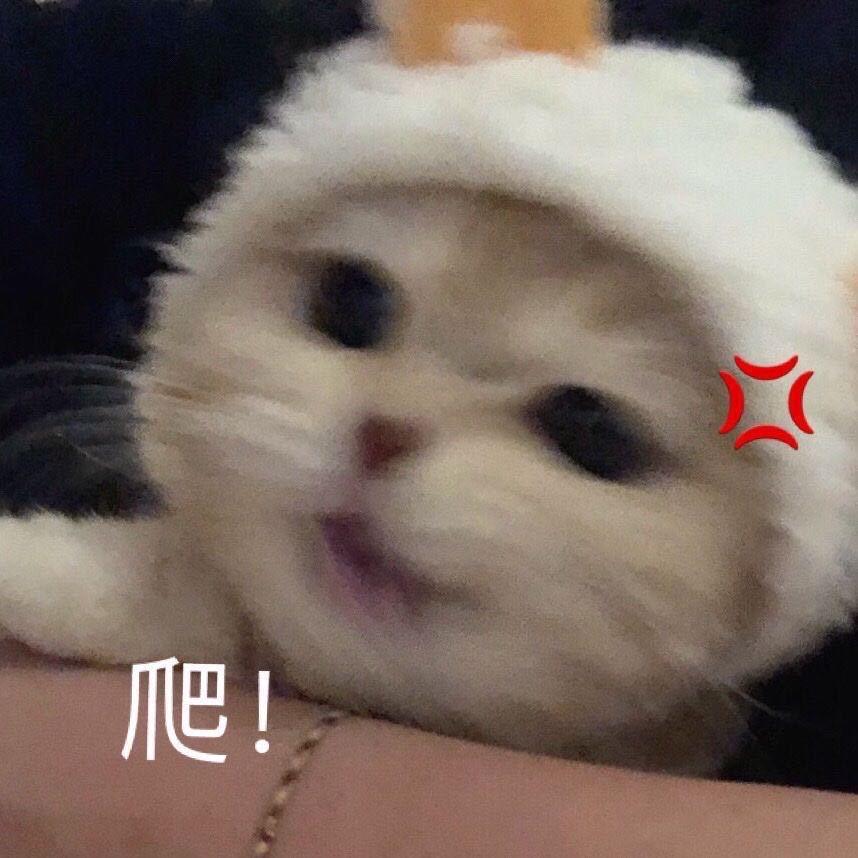 cf小川