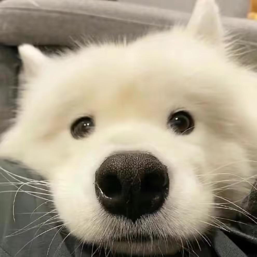 He