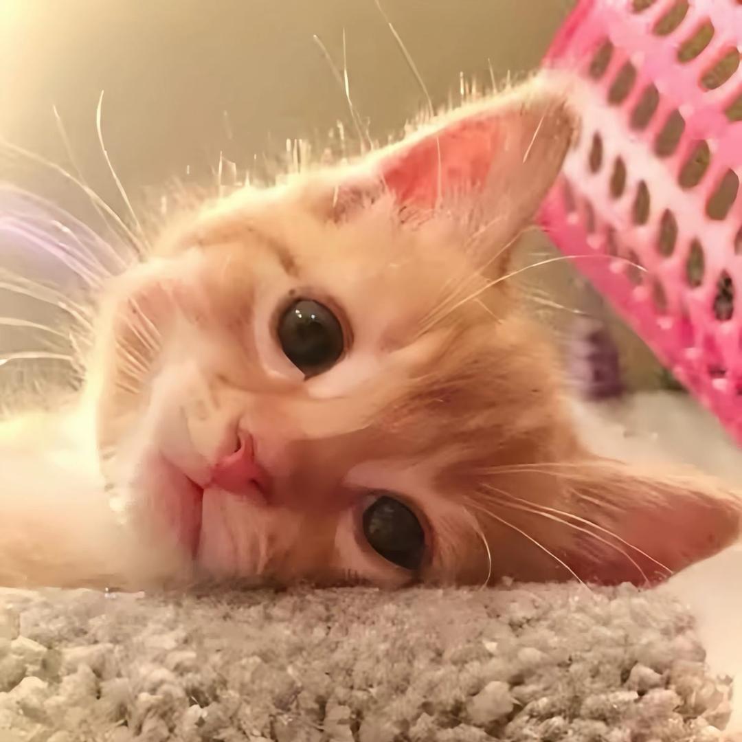 小x