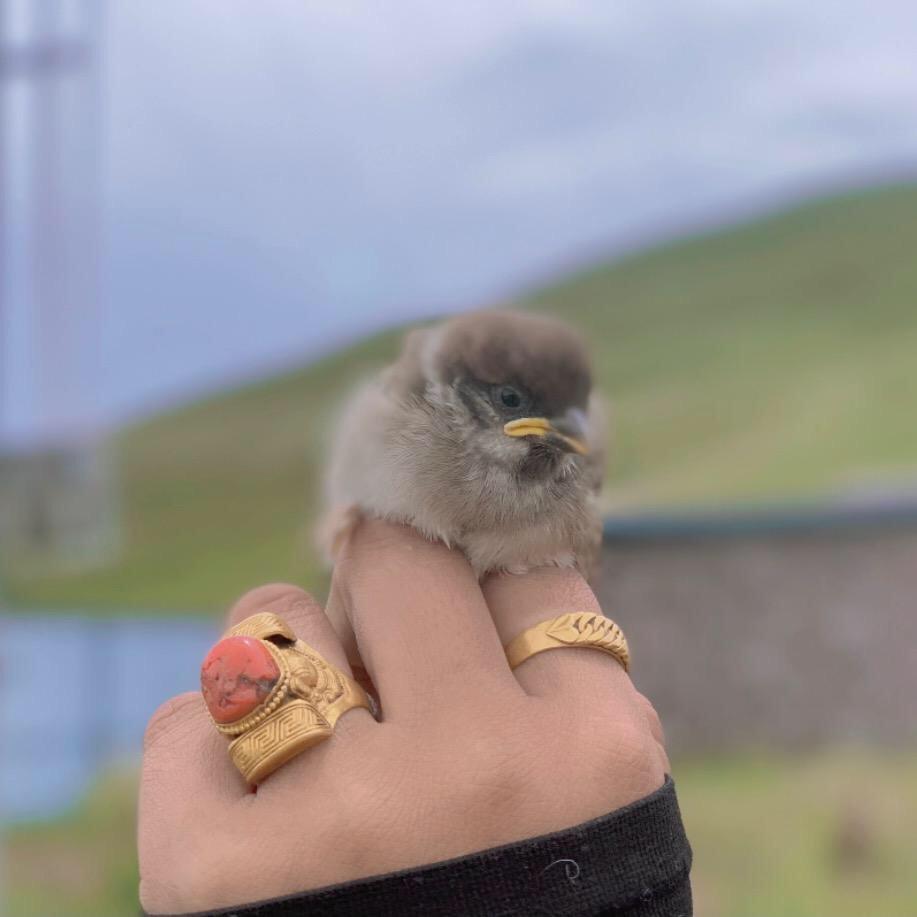 NiSangMeiDuo🫶🏻