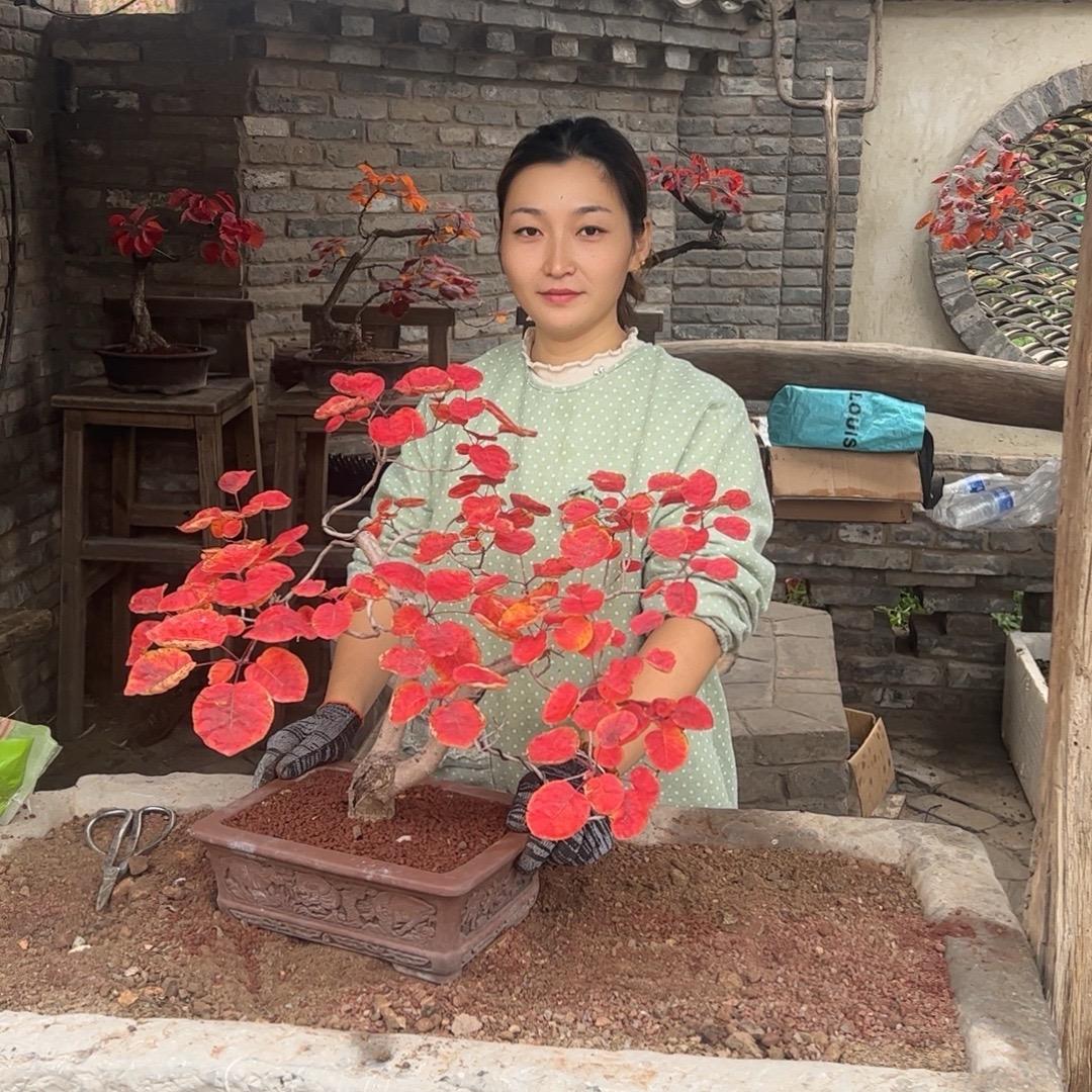 一栌有你就好