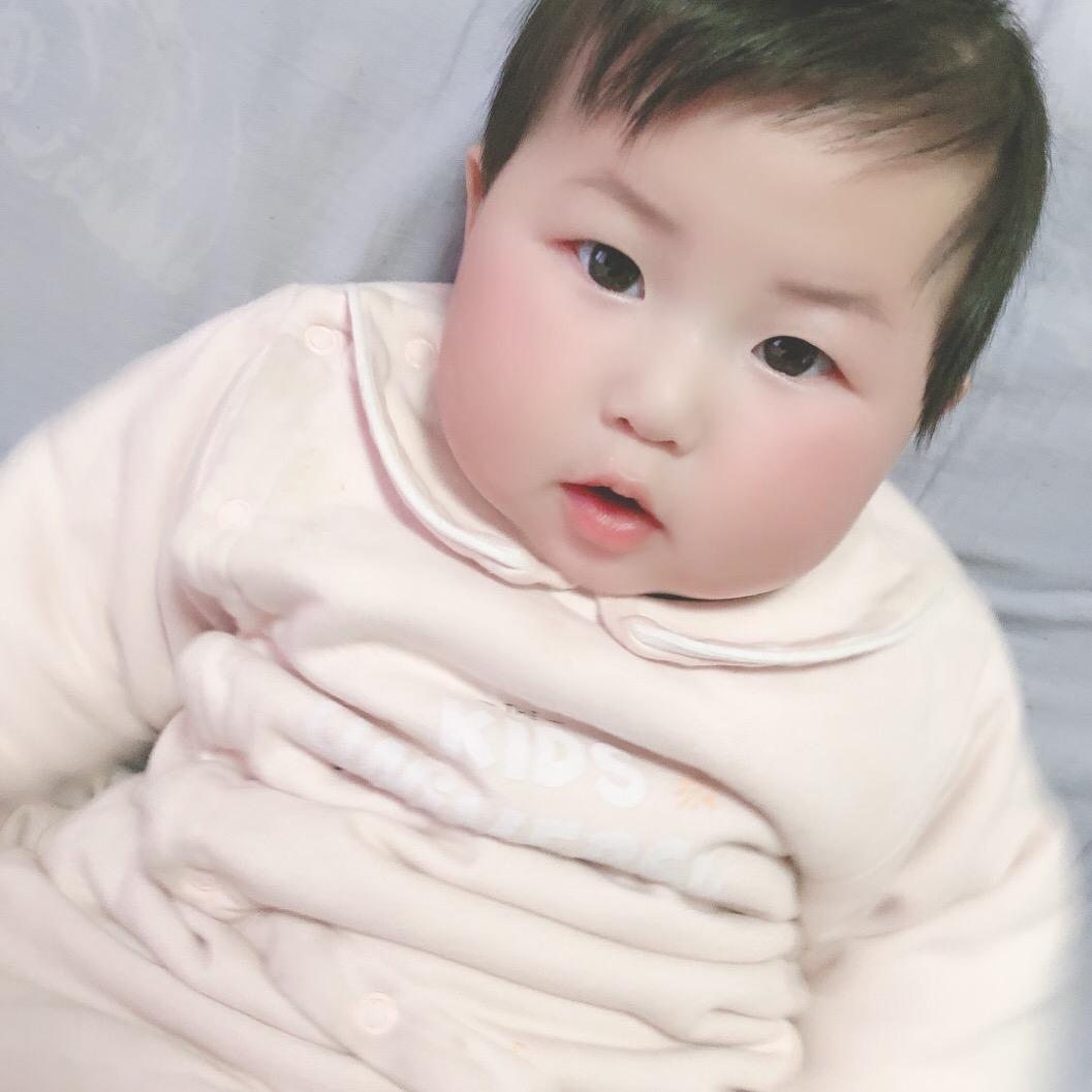 小燕子