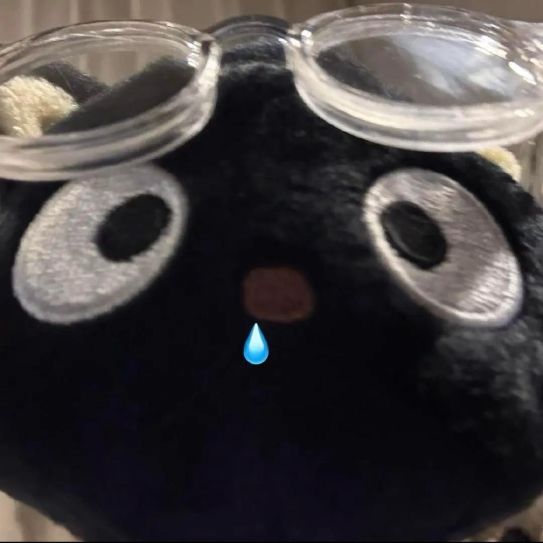 小狗不吃🐟