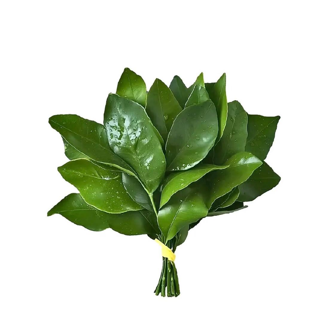 我是土豆丝