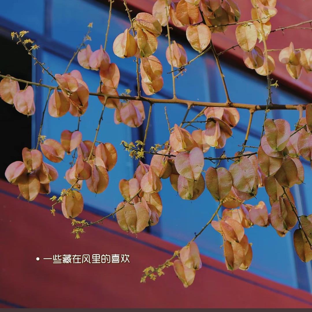 溪熙短视频剪辑曹小曹