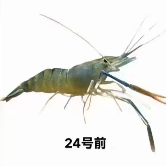 化妆品、生活用品