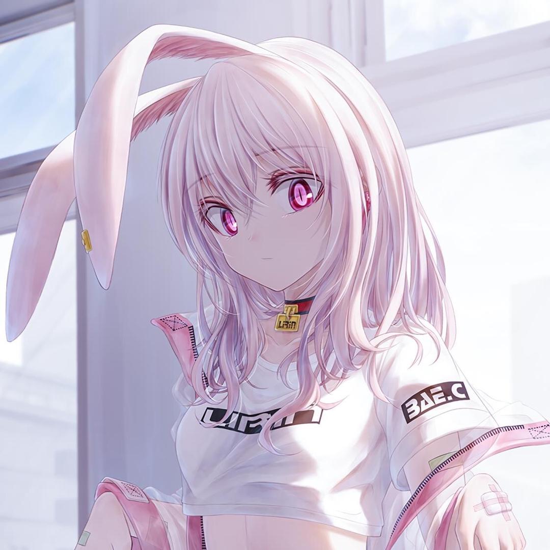 凌芯