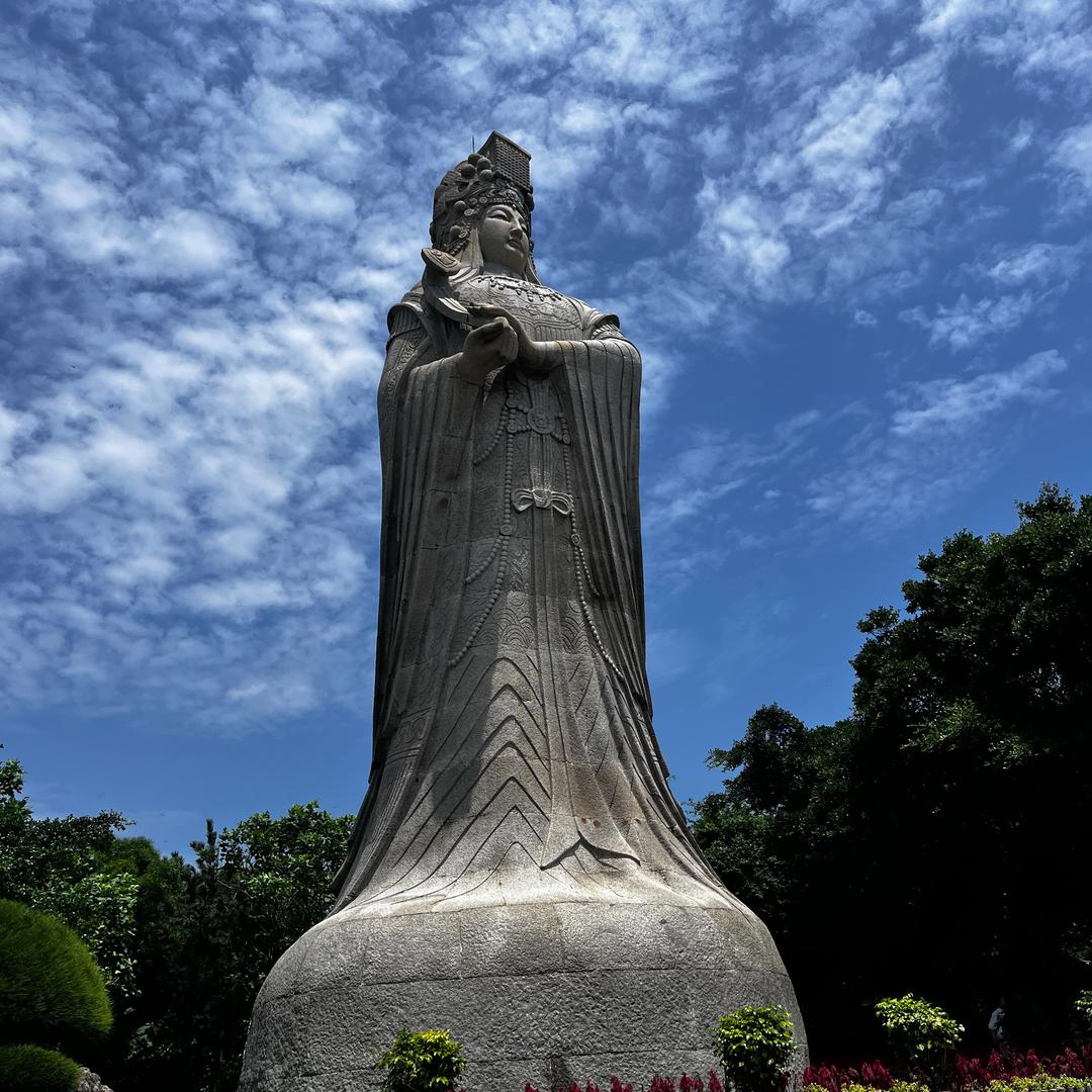 汕尾笔枣