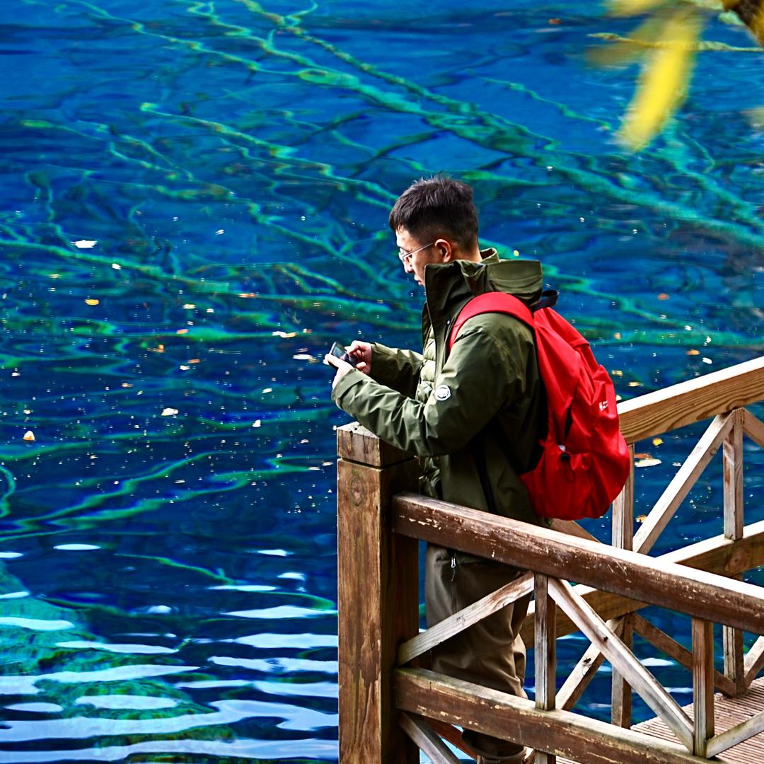 小矮馬的小考拉