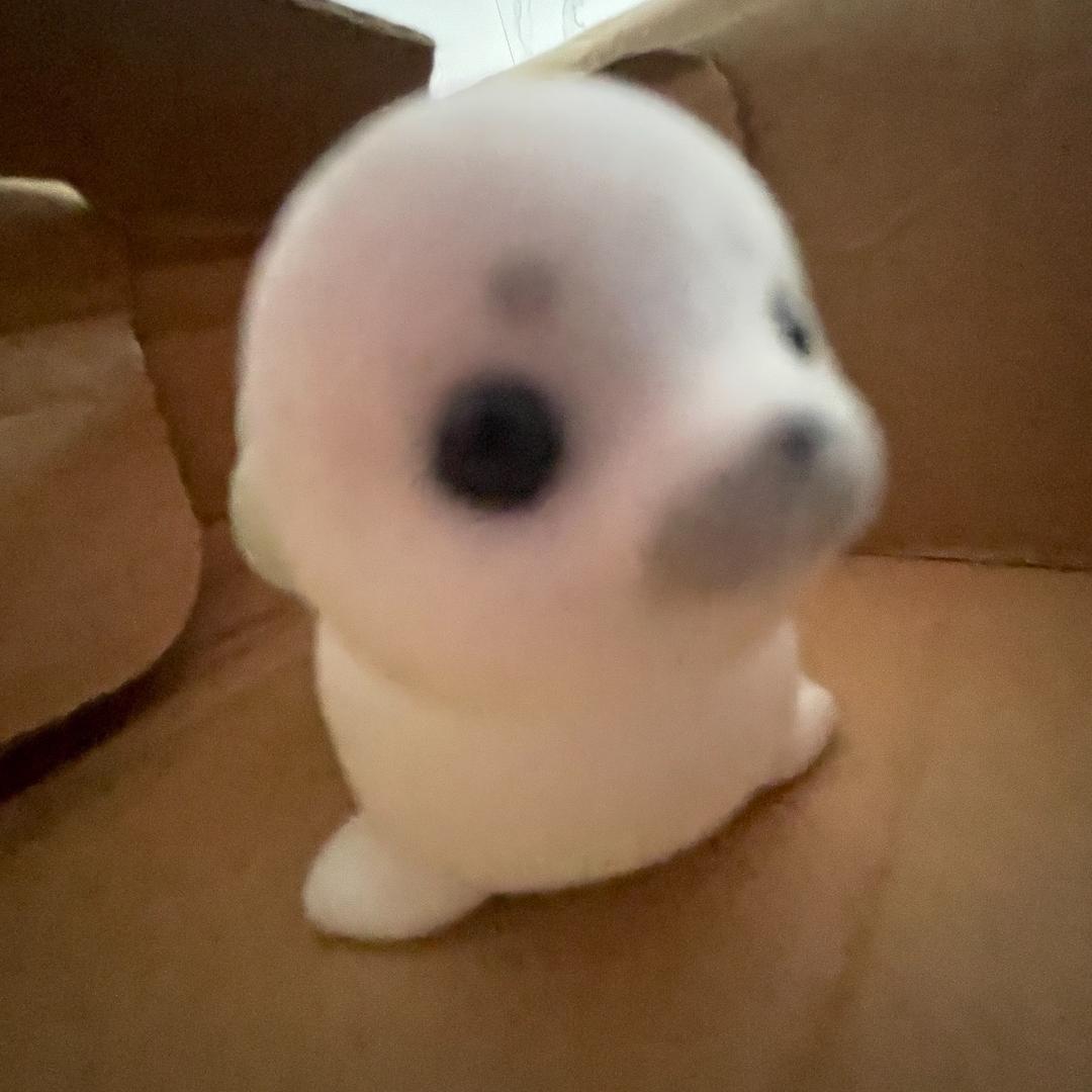 小虫