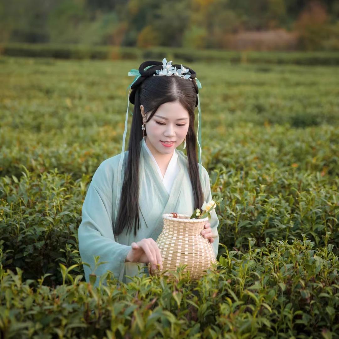 东霖春茶叶旗舰店