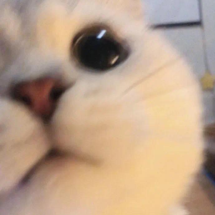 Zy1