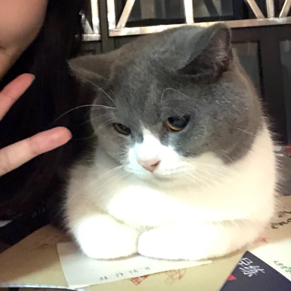 月亮☾.