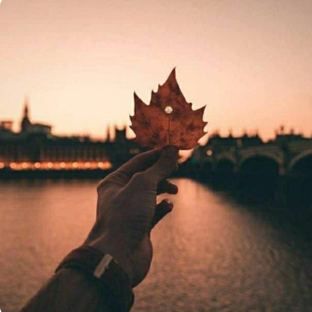 义乌市泽瑞饰品厂