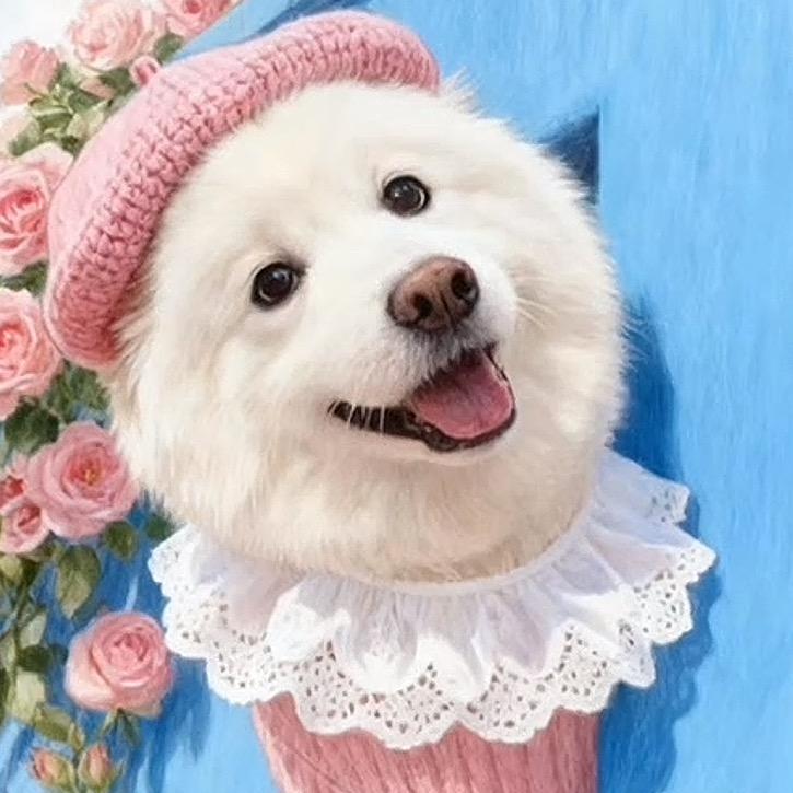雪球