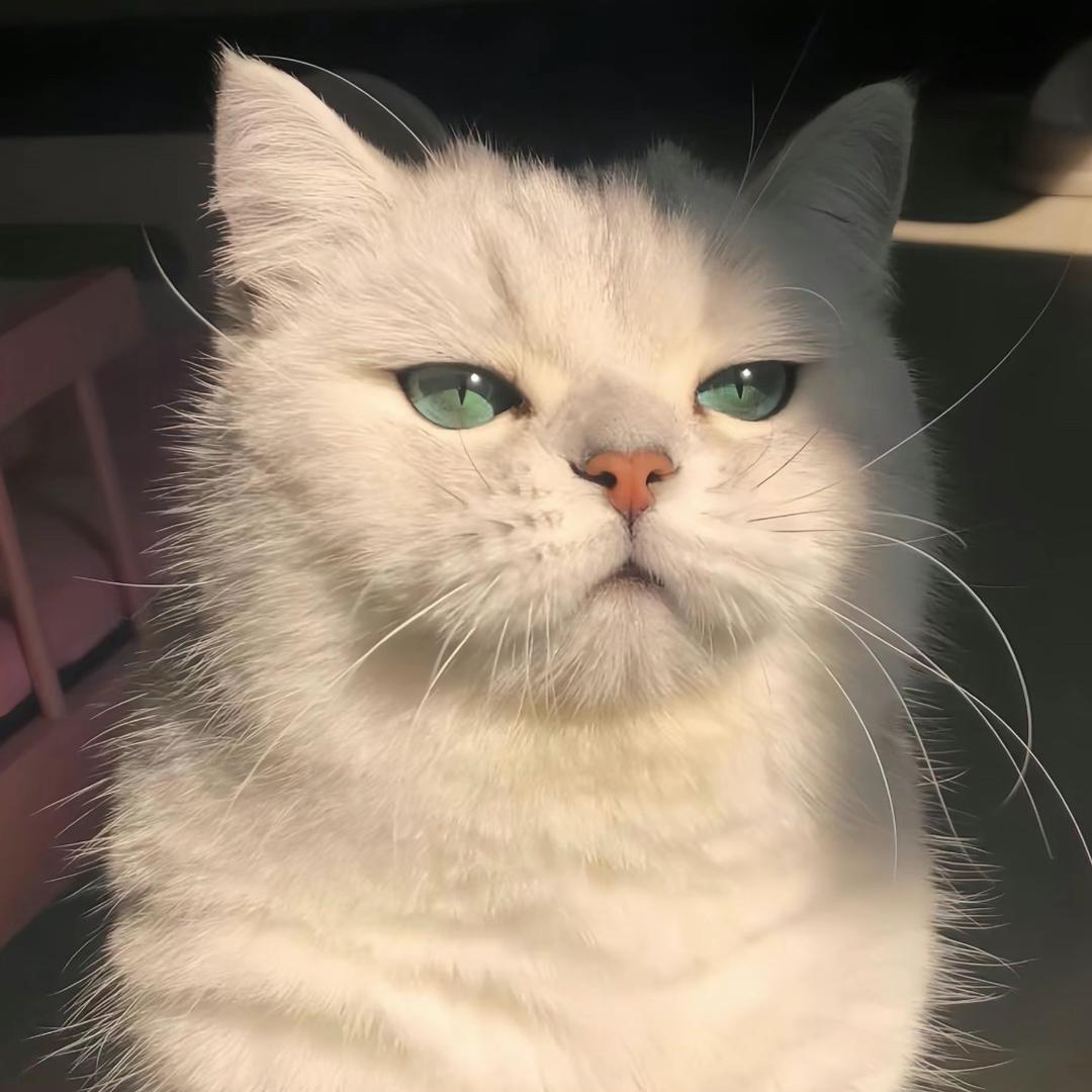 Aaaa