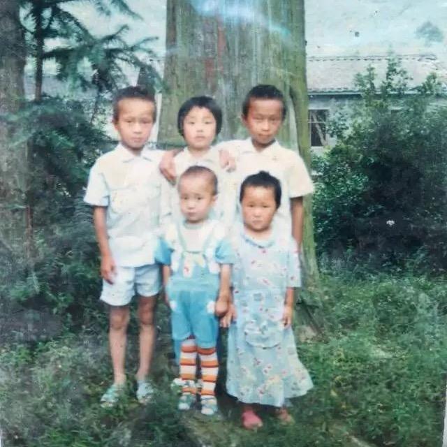 好大一颗树 小五穿马裤