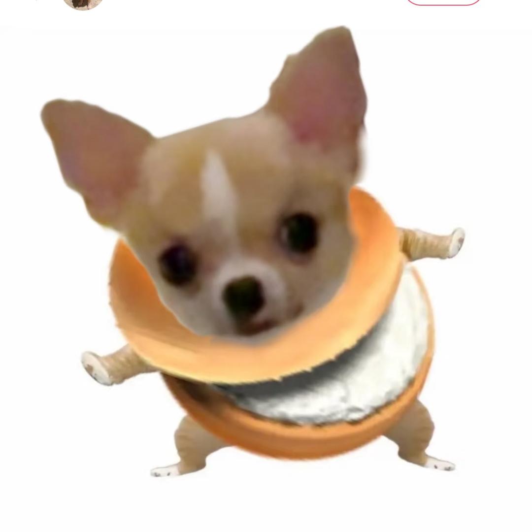 狗不理包子