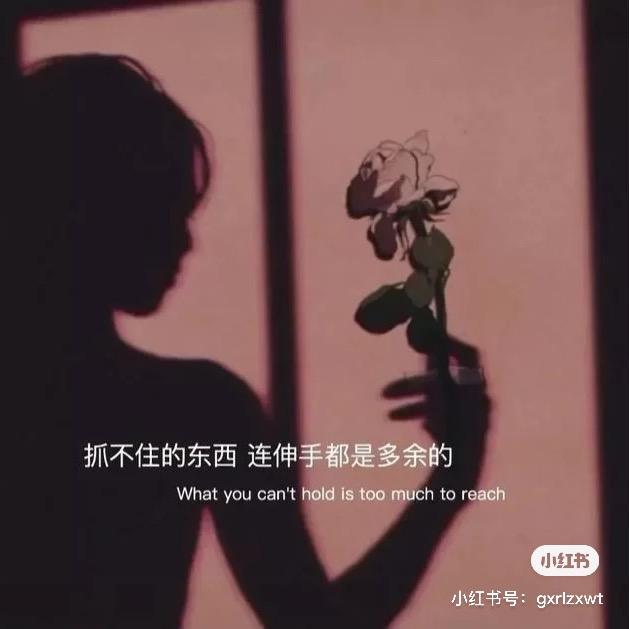 不如不见