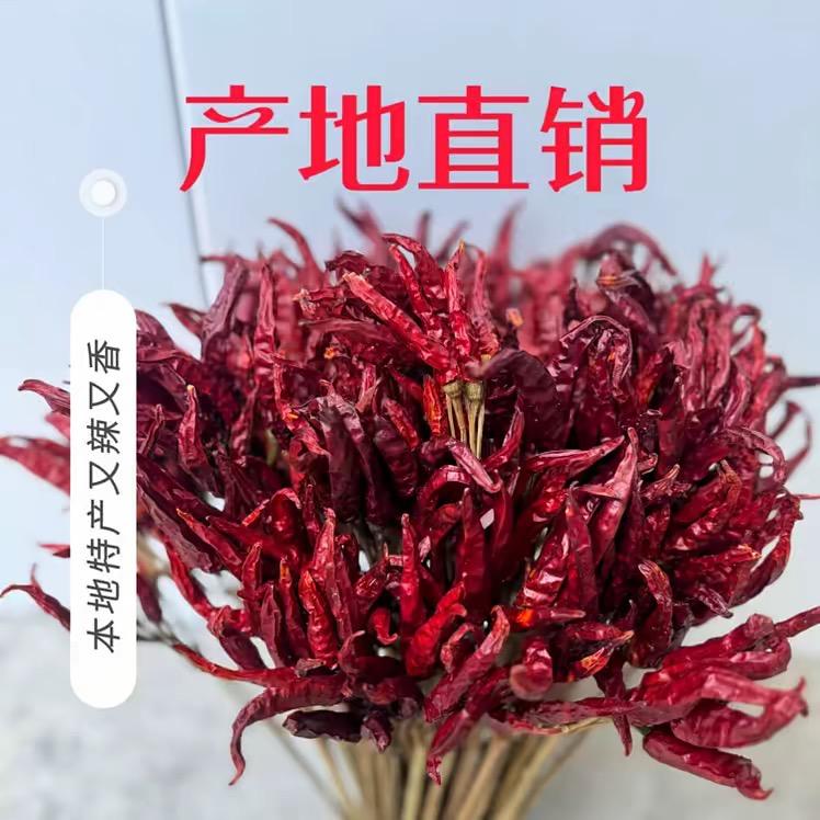 久仰朝天椒
