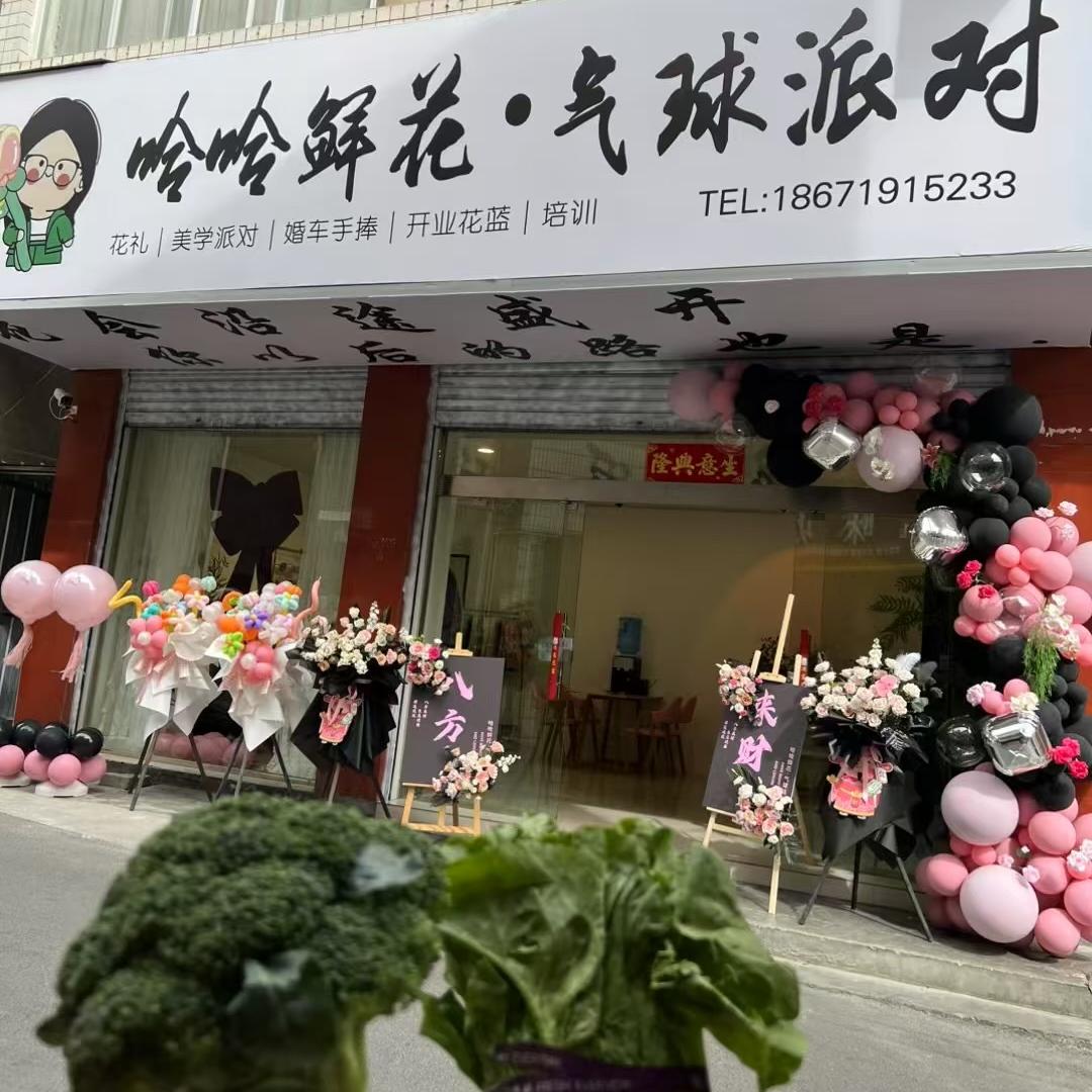 哈哈气球派对  花艺（邵比昂）