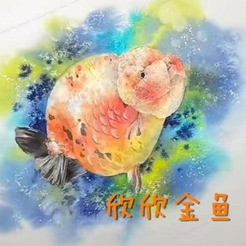 欣欣金鱼