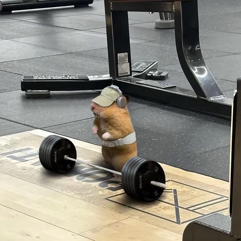 Npc