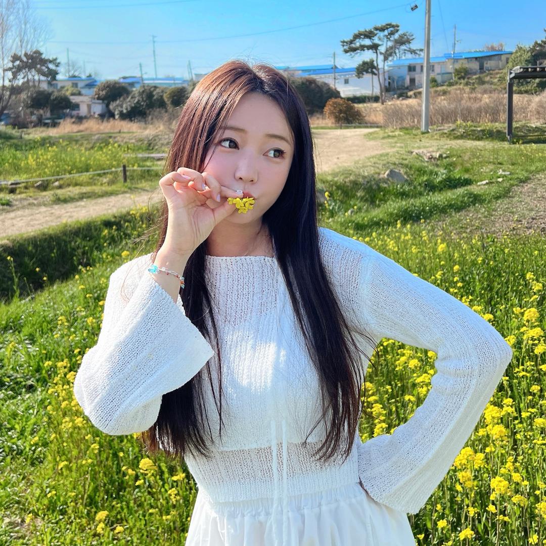 💛Bunny💛芭妮