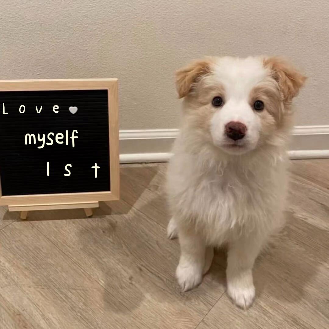 💓_